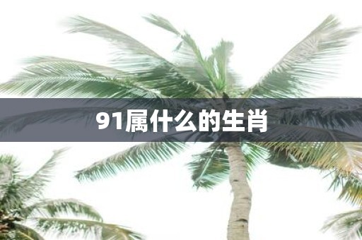 91属什么的生肖
