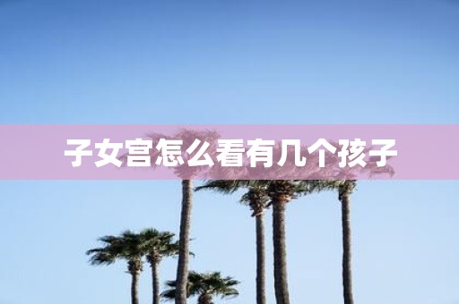 子女宫怎么看有几个孩子