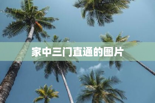 家中三门直通的图片