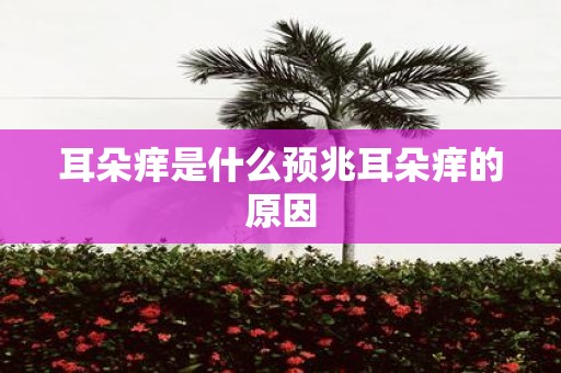 耳朵痒是什么预兆耳朵痒的原因