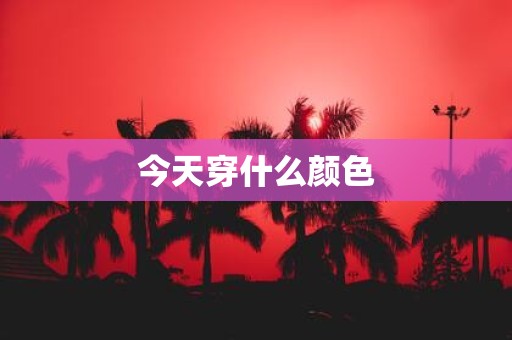 今天穿什么颜色