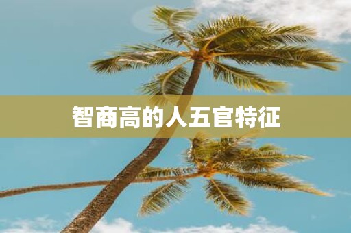 智商高的人五官特征