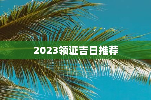 2025领证吉日推荐