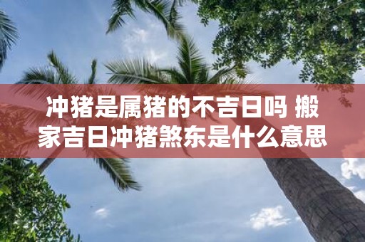 冲猪是属猪的不吉日吗 搬家吉日冲猪煞东是什么意思