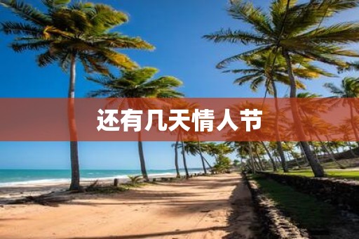 还有几天情人节