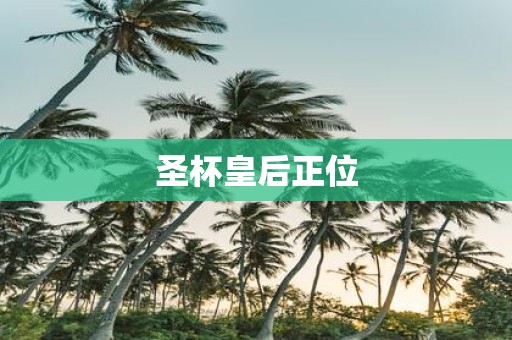 圣杯皇后正位