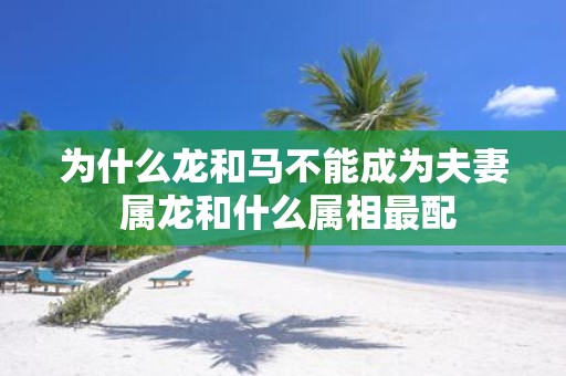 为什么龙和马不能成为夫妻 属龙和什么属相最配