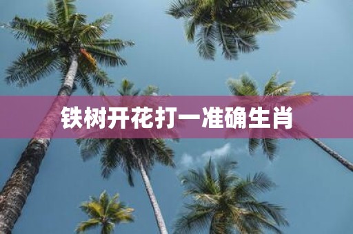 铁树开花打一准确生肖