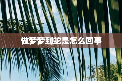 做梦梦到蛇是怎么回事