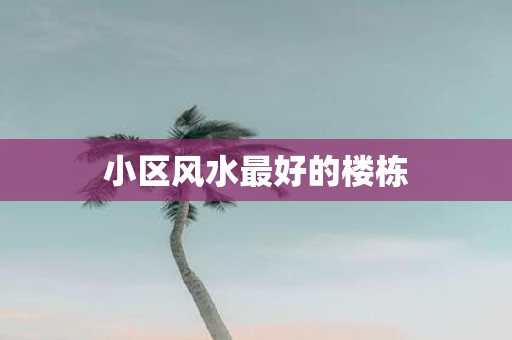 小区风水最好的楼栋