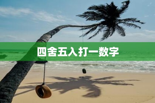 四舍五入打一数字