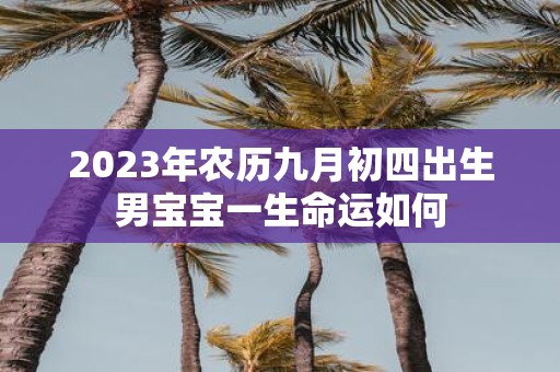 2025年农历九月初四出生男宝宝一生命运如何