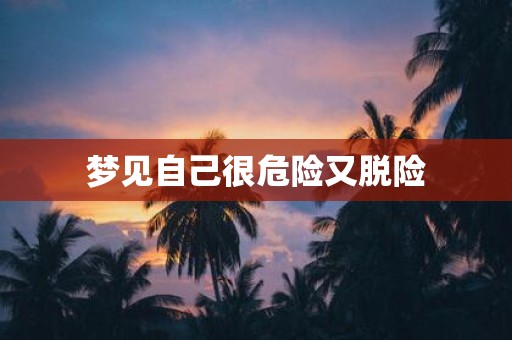 梦见自己很危险又脱险