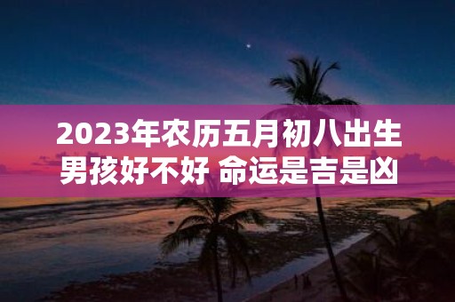 2025年农历五月初八出生男孩好不好 命运是吉是凶