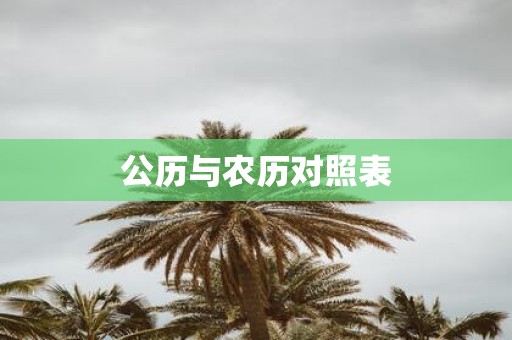 公历与农历对照表