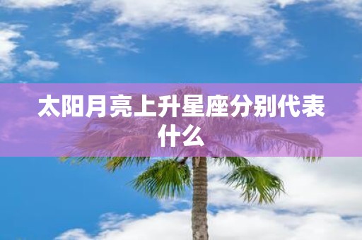 太阳月亮上升星座分别代表什么