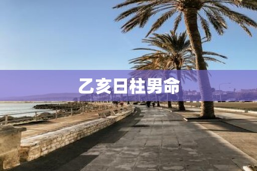 乙亥日柱男命