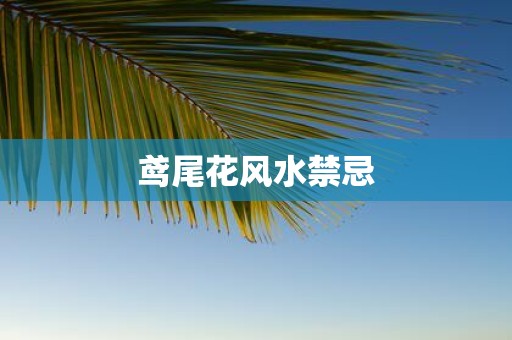 鸢尾花风水禁忌