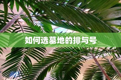 如何选墓地的排与号