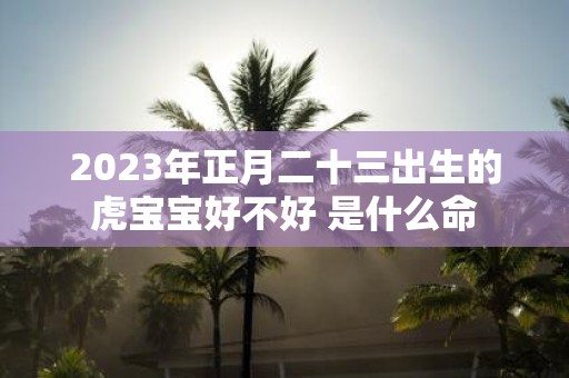 2025年正月二十三出生的虎宝宝好不好 是什么命
