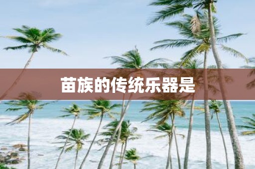 苗族的传统乐器是