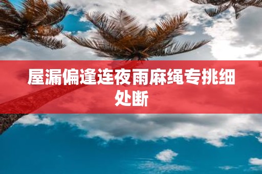 屋漏偏逢连夜雨麻绳专挑细处断