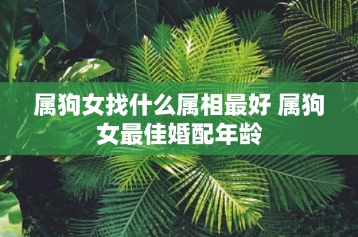 属狗女找什么属相最好 属狗女最佳婚配年龄