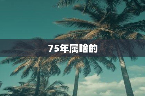 75年属啥的