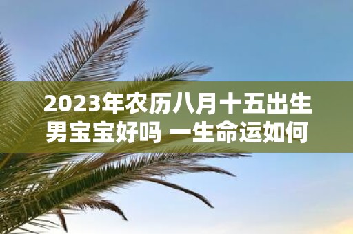 2025年农历八月十五出生男宝宝好吗 一生命运如何