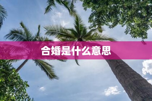 合婚是什么意思