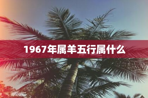 1967年属羊五行属什么