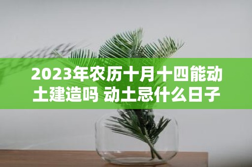 2025年农历十月十四能动土建造吗 动土忌什么日子