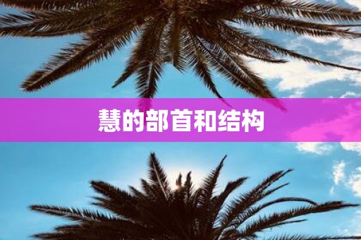 慧的部首和结构
