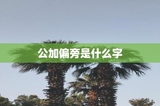 公加偏旁是什么字