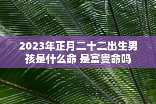2025年正月二十二出生男孩是什么命 是富贵命吗