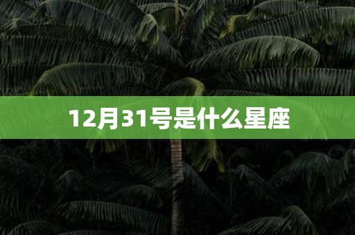 12月31号是什么星座