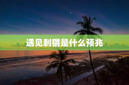 遇见刺猬是什么预兆