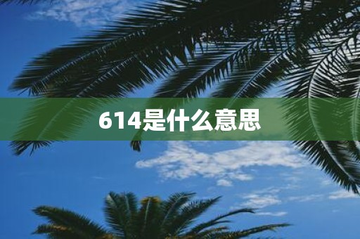 614是什么意思