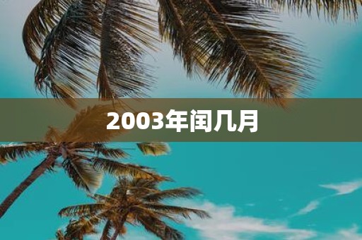 2003年闰几月