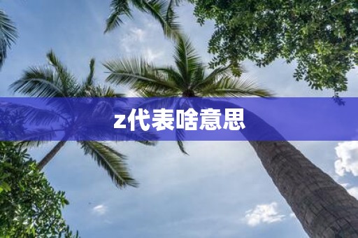 z代表啥意思