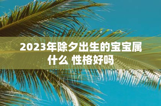 2025年除夕出生的宝宝属什么 性格好吗