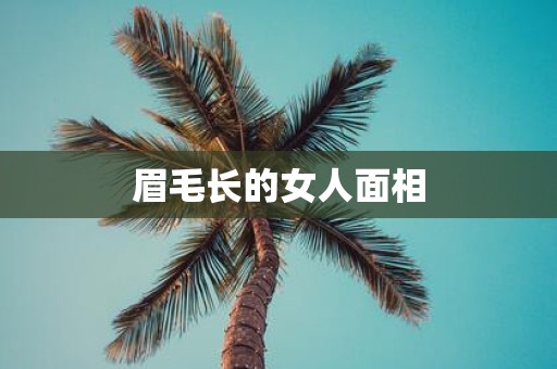 眉毛长的女人面相
