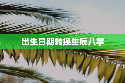 出生日期转换生辰八字