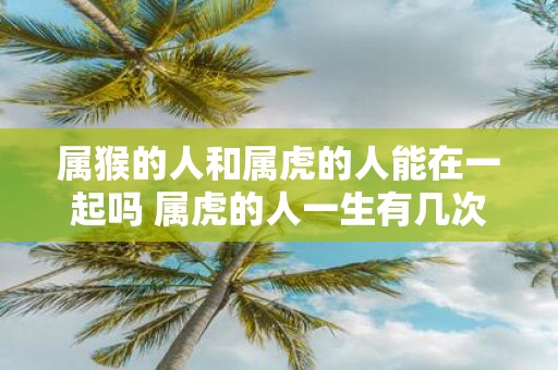 属猴的人和属虎的人能在一起吗 属虎的人一生有几次婚姻
