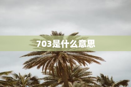 703是什么意思
