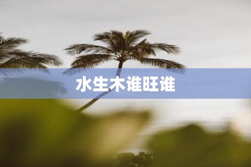 水生木谁旺谁