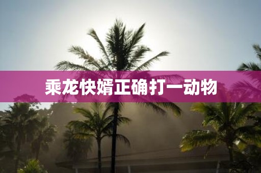 乘龙快婿正确打一动物
