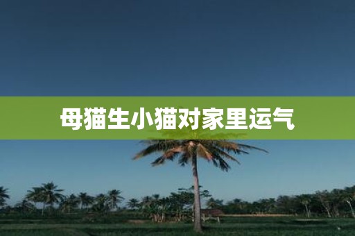母猫生小猫对家里运气