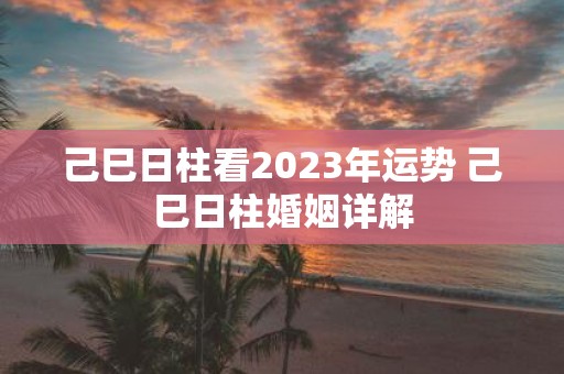 己巳日柱看2025年运势 己巳日柱婚姻详解