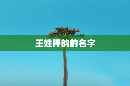 王姓押韵的名字